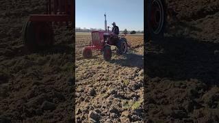 Farmall 140 gettin it !!! #farmall51