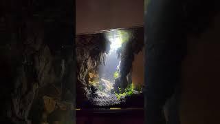 Gundam - Fish Tank Diorama #gunpla #gundam #gunplacustom #gunplabuilder #shortvideo #diorama