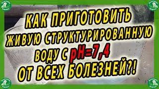 КАК ПРИГОТОВИТЬ ЖИВУЮ СТРУКТУРИРОВАННУЮ ВОДУ С рН=7,4 ОТ ВСЕХ БОЛЕЗНЕЙ?!‍️