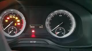 -20° Cold start Skoda Kodiaq 2.0 tsi Winter in Russia 158 000km Oil Lukoil 5w-40