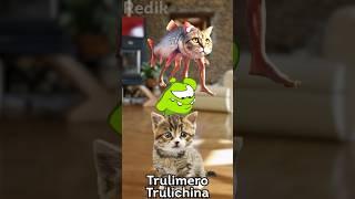 Om Nom & Brainrot Animals "Scream"