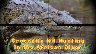 best of the best hunting crocodile in africa