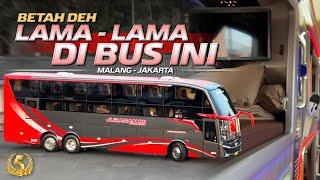 AKHIRNYA NAIK BUS RASA HOTEL MEWAH‼️Trip Malang - Jakarta with Juragan 99 Trans Tweety