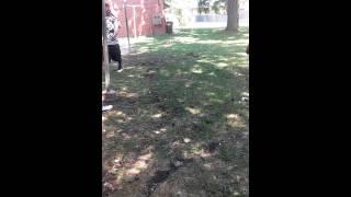 Inkster bully gets punked out