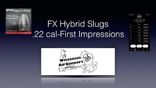 FX Hybrid Slugs, .22 caliber...First Impressions