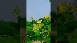 #nature lover 