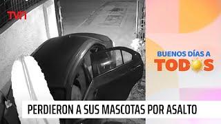 Víctima de asalto: "Mi dolor más grande es mi mascota, era como un hijo" | Buenos días a todos