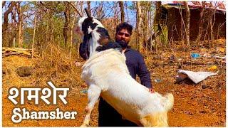 “Main Jaadugar Nahi Hu”, Says Razzak & Sinan Goat Ranch Owner | Shamsher Kota