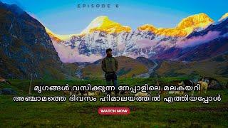 EP6 |മൃഗങ്ങൾ വസിക്കുന്ന നേപ്പാളിലെ മലകയറി അഞ്ചാമത്തെ ദിവസം ഹിമാലയത്തിൽ എത്തിയപ്പോൾ #travel #youtube