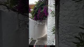 Dil Meri Na Sune - ️ || Aesthetic Status || ️Lyrics Status #trending #ytshorts #status #ytshorts