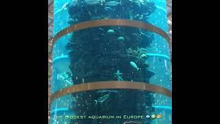  The Biggest Aquarium in Europe | AviaPark Shopping Mall Moscow ️