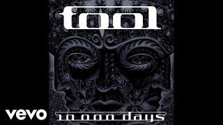 TOOL - Vicarious (Audio)