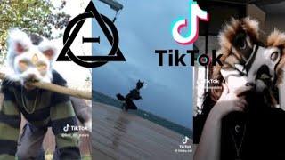 подборка красивых видео квадробик из тт #квадробика #tiktok #recommended #залетипж #therian