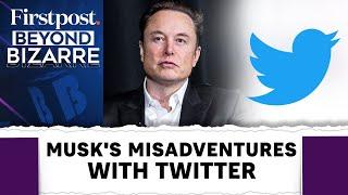 Twitter Logo Change: Elon Musk's Love Affair With Doge | Beyond Bizarre