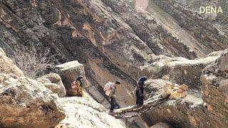 Nomadic women and children move through the mountains of Iran by carrying their belongings