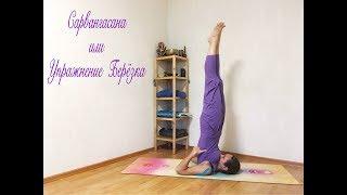 YogaFAQ#34 Сарвангасана или упражнение Березка