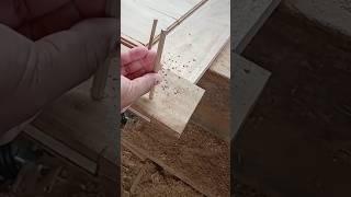 a nailed #shorts #fyp #virals #trending #skills #tricks #bamboo