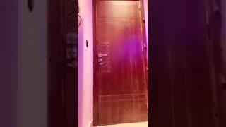 Arab girl dance in home 