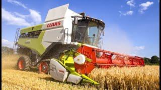 Harvest 2023 in Cumbria begins - Floshes Farm Contracting - Claas Lexion 6700