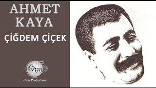 Çiğdem Çiçek (Ahmet Kaya)