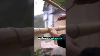 Tatlı Patatesten Cam Erişteye: Zahmetli Bir Emek Hikayesi..
