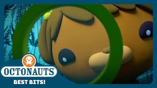 @Octonauts -  Kelp Monsters and Lots of Places to Hide 🪨 | Season 4 | Best Bits!