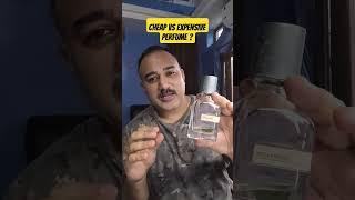 The Longest Lasting Summer Perfume vs CLONE