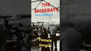 ROCKABILLY  - THE MUSKRATS May 2025 #rockabillylife  #rockabilly#rocknroll#elvis  #livemusic