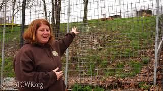 Turpentine Creek Wildlife Refuge Virtual Tour Part 1