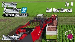 FS22 | Zielonka - Episode 9 - RED BEET HARVEST  | Farming Simulator 22 Premium Expansion