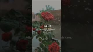 QURAN RECITATION| Beautiful Soft voice 🫀 #quranrecitation #waytojannah #beautyfulquran