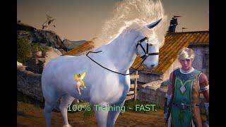 How to level important horse skills FAST in BDO