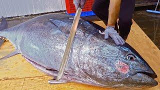 World's Sharpest Tuna Knife！Amazing Giant bluefin tuna cutting Master / 驚人的！巨大黑鮪魚切割技巧, 黑鮪魚大腹-Sashimi