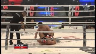 Final Fight Championship 5 - Ante Delija vs. Gzim Selmani