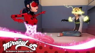 MIRACULOUS |  OBLIVIO  | Les aventures de Ladybug et Chat Noir