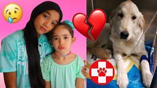 WE RUSHED Our PUPPY To The HOSPITAL! **EMOTIONAL**  |THE MIR FAM