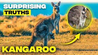 10 Incredible Facts About Kangaroos | Australia's Iconic Marsupials Revealed