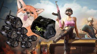 Открываем сундуки АРХИВИСТА 15шт PUBG #pubg #sadfox  #сундуки