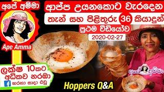  ආප්ප උයනකොට වැරදෙන තැන් සහ හරියට හදන රහස් 36 (Appa | aappa) Making Hoppers Q&A by Apé Amma