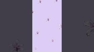 some colours which suits on dusky skin tones and look expensive  #aesthetic #look#lifestyle #dusky