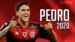 Pedro 2020 ● Flamengo ► Amazing Skills, Goals & Assists | HD
