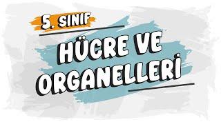 Hücre ve Organelleri | 5. Sınıf Fen Bilimleri #2025