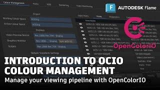 Introduction to OCIO Colour Management - Flame 2026