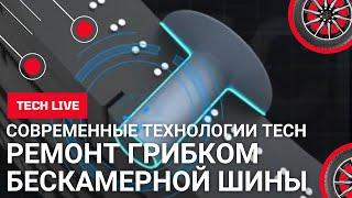 Ремонт прокола бескамерной шины грибком. Надежно и по всем правилам. На глазах у клиента!