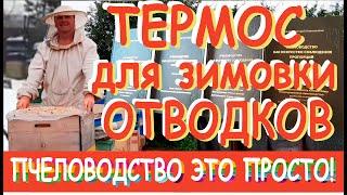 Зимовка Отводков. Три варианта сберечь матку и пчёл. Термос. Выпуск "Пчеловодство это Просто".