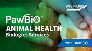 Advancing Animal Health Biologics with WuXi Biologics Expertise
