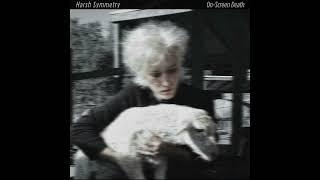 Human Memory - Harsh Symmetry