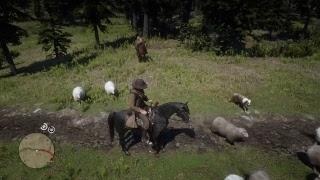 Red dead redemption II part 24