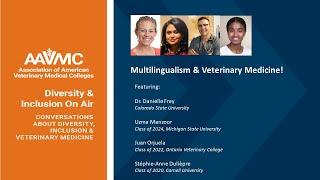 Diversity and Inclusion on Air: Multilingualism in Veterinary Medicine