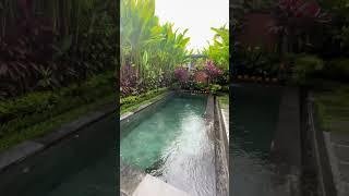 Bali feels like Paradise | Entire villa just for us #bali #paradise #travelandtellno1